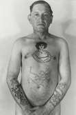 Tatueringsbilder.

Hamnarbetaren Albin Lundström, född i Stockholm 1877.

Bröstbilden av kvinna, handstucket arbete, utfört i Lübeck 1915.