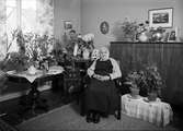 Äldre kvinna i hemmiljö, Uppsala 1944