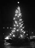 Julgran på Vaksala torg, Uppsala december 1945