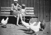 Sommar i Lindome i början av 1940-talet. En kvinna och ett barn sitter på en bänk. Framför dem går några hönor.