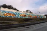 Graffiti längs Kvarnbygatan i Mölndal, år 2003. Det är bostadsområdet Silverskattens garagebaksidor som är målade. Relaterade motiv: 2007_0222 - 0243.