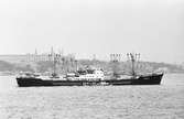 Ägare:/1972-82/: Star Steamship S.A.L. Hemort: Beirut.