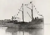 Foto av ångfartyg förankrat i stilla vatten. Signalflaggor hissade över topparna.