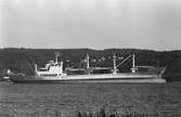 Ägare:/1974-83/: China Ocean Shipping Co. Hemort: Canton.