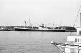 Ägare:/1972-75/: Celia Shipping Co. Ltd. Hemort: Famagusta.