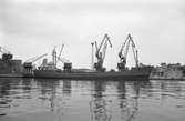 Ägare:/1970-74/: Mayflower Transport & Trading Co. Hemort: Willemstad.