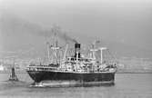 Ägare:/1947-71/: India Steamship Co. Ltd. Hemort: Calcutta.