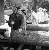 Börje Andersson sågar.