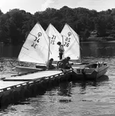 Optimistjolle (Entypsbåt), Seglarskola