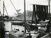 Fiskehamnen omkr. 1930.