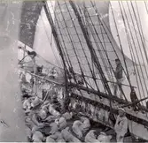 Långresan 22/10 1902 - 18/4 1903. Chef: KK1. H.D.M. Hamilton, Sek.: Kapt. H.W.M. Krusenstierna.
Siesta. (Läsegel). Kadett Ekebohm i fock-vantet.