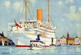 Royal Mail Cruising Steamer 