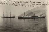 Tyska S/S Santa Maria samt en tysk seglare, lastade med salpeter sedan krigets början.