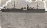 Minsprängd den 5 juli 1941 tvärs Anser Jade fyrskepp vid inloppet till Weser. Hela besättningen räddades.
