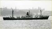 Ägare:/1964-85/: S.S.S.R. - Black Sea Shipping Co. Hemort: Odessa.