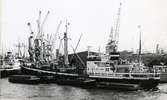 Ägare:/1954-72/: N.V. Koninklijke Nederlandsche Stoomboot Mij. Hemort: Amsterdam.