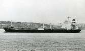 Ägare:/1974-83/: NAVROM, Navigation Roumaine Maritime & Fluviale. Hemort: Constanta.