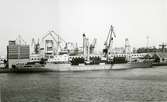 Ägare:/1979-  /: Sudan Shipping Line Ltd. Hemort: Port Sudan.