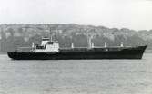 Ägare:/1973-91/: S.S.S.R. - Black Sea Shipping Co. Hemort: Odessa.