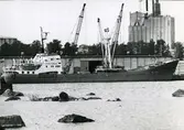 Ägare:/1970-82/: Polskie Linie Oceaniczne. Hemort: Szczecin.