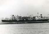 Ägare/:1978-80/: Neptunia Overseas Shipping Co. Hemort: Monrovia.