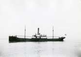 Ägare:/1913-29/: A/S Vesla, /1929-46/: Skibs A/S William Hansens Rederi II. Båda med hemort: Bergen.