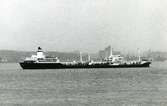 Ägare:/1968-86/: S.S.S.R. - Novorossiysk Shipping Co. Hemort: Novorossiysk.