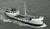 Ägare:/1954-64/: Rederij m/s Heiloo. Hemort: Sas van Gent.