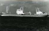 Ägare:/1966-87/: Navigation Maritime Bulgare. Hemort: Varna.