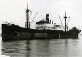 Ägare:/1952-58/: Northern Steamship Co.Ltd. Hemort: Helsingfors.