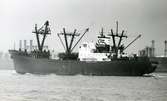 Ägare:/1973-81/: Beta Mediterranean Shipping Co. Hemort: Monrovia.