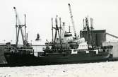 Ägare:/   -91/: S.S.S.R. - Northern Shipping Co. Hemort: Arkhangelsk.