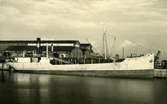 Ägare:/1948-53/: Compania Maritima Virona, Ltda. Hemort: Puerto Limon.