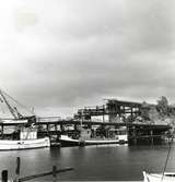 Herrängs hamn. Bogserbåten Rex troligen ägd av Skebo bruk.