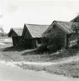 Östhammar. Äldre sjöbodar i hamnen.