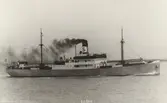 S.S. RING