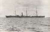 På sin tid Sveriges största ångfartyg OCEAN av Göteborg, b. 1864. Ägdes av konsul Adolph Meyer, Göteborg och skeppsbyggmästare O.A. Brodin, Gävle.