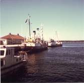 Öregrunds hamn, år 1969.