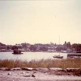 Öregrunds hamn, år 1969.