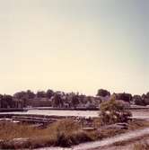 Öregrunds hamn, år 1969.