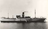 Lastångfartyget SIGYN av Helsingborg. Inköptes från Göteborg 1941. Minsprängt utanför holländska kusten den 9 aug. 1942. Besättningen räddad.