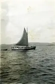 sandslupen Gärda, 11,77 reg.ton, byggd av Jonas Pettersson 1908. Fotot gåva av E.V. Pettersson, Lungön 1952.