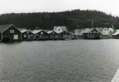 Ångermanland, Trysunda. Sjöbodar i hamnen. Ingen av dessa tillhör nu aktiva fiskare.