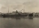 Lastångfartyget SONJA av Helsingborg.