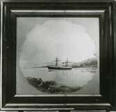 Fotografi av oljemålning föreställande Passagerarångfartyget GESTRIKLAND.