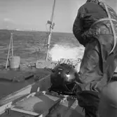 T102 minfällning till sjöss