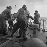 T102 minfällning till sjöss