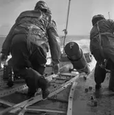 T102 minfällning till sjöss