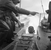 T102 minfällning till sjöss