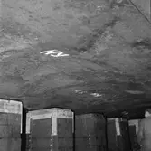 KYA Hangesund bottenskada bb-sidan